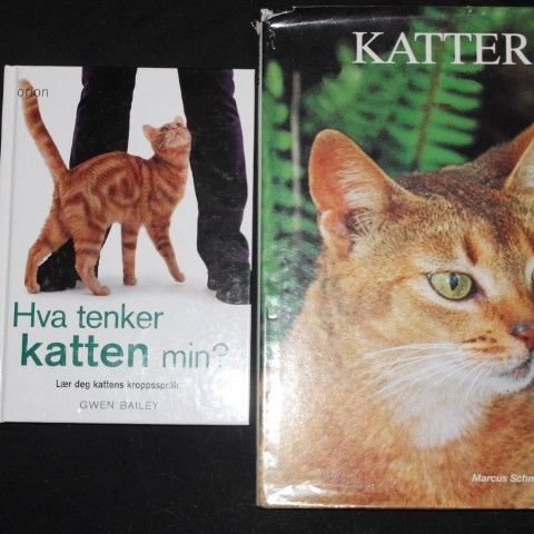 Kattebøker: En om å lese kattens tegn, og en mer generell inkl. raseoversikt.
