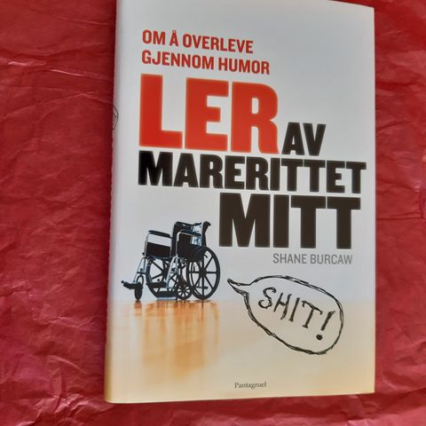 Ler av marerittet mitt: om å overleve gjennom humor