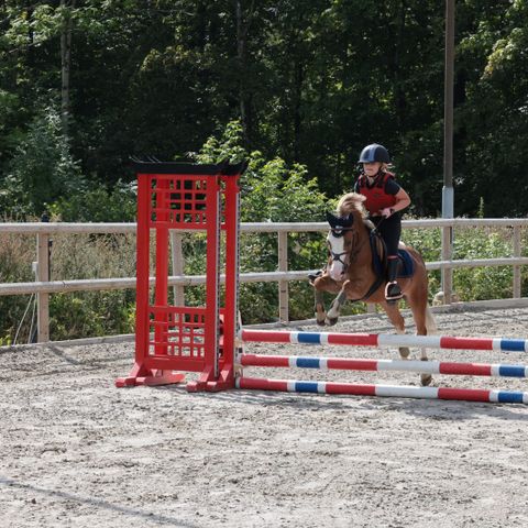 Super Kat 3. ponni settes ut på halvfôr på aktiv ponni stall