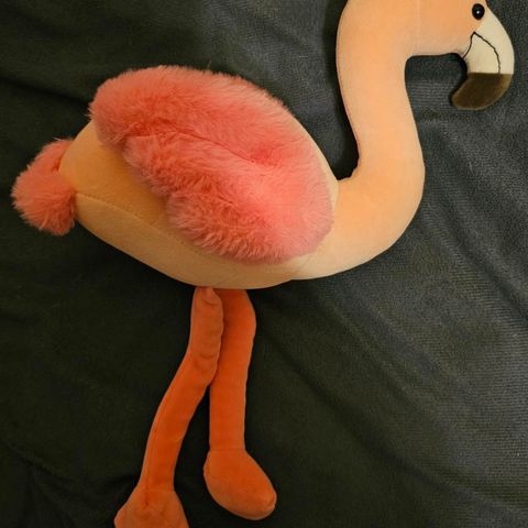 Flamingo kosedyr