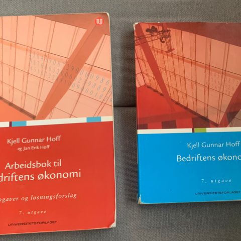 Bedriftens økonomi + arbeidsbok