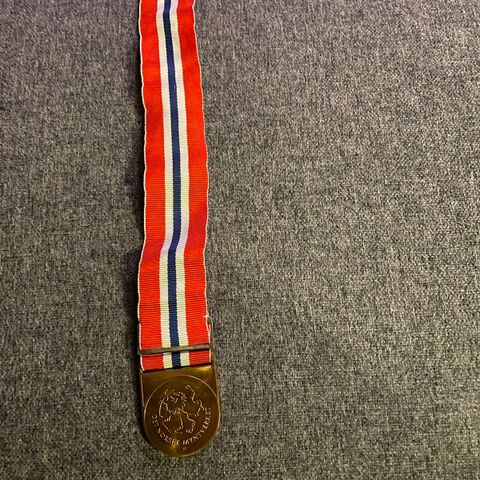 17 Mai medaljen 2011.