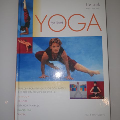 Yoga for livet. Liz Lark