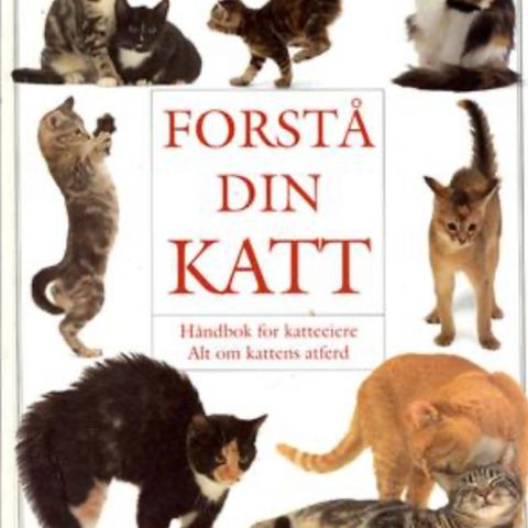 Forstå din katt- Håndbok for katteeiere