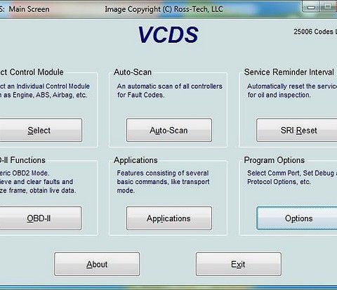 VCDS VAG-COM leies ut