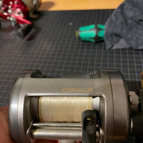 Shimano Corvalus multiplokator