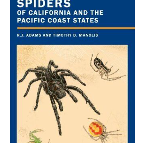 FIELD GUIDE TO THE SPIDERS OF CALIFORNIA