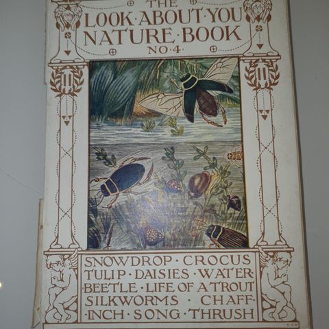 The Look About The Nature Book No 4. Thomas W. Hoare