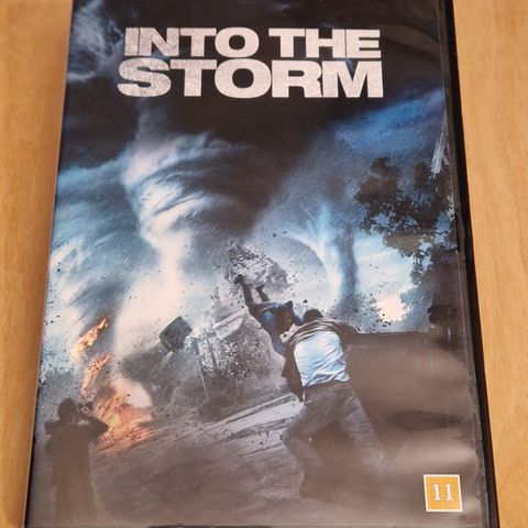 Into The Storm  ( DVD )
