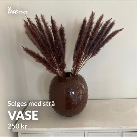 vase