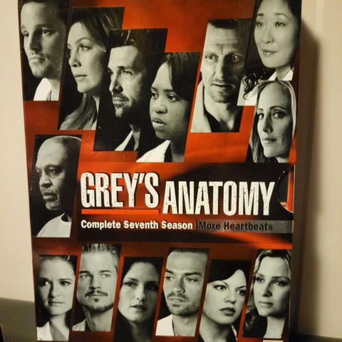 Grey's Anatomy sesong 7