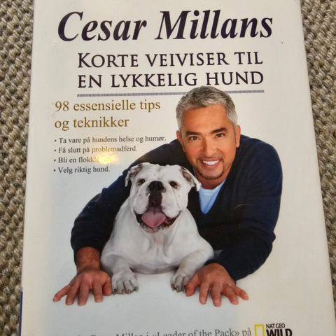 Cæsar Milan veiviser til en lykkelig hund