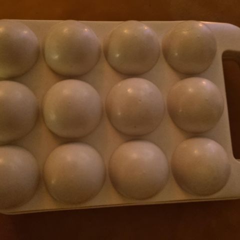 Gammel Plastform til egg selges