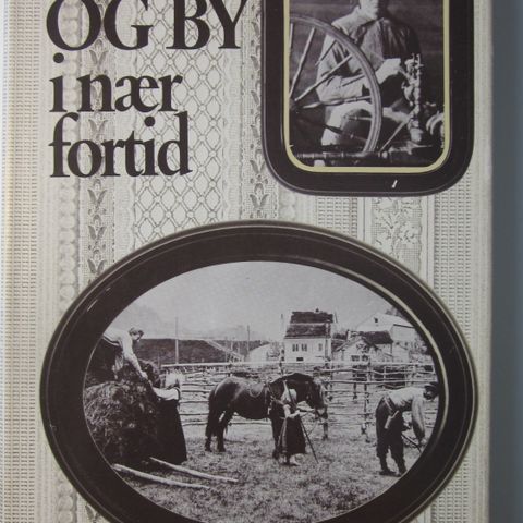 Bygd og by i nær fortid II (minner fra barn- og ungdomstiden)