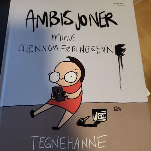 Bok: Tegne Hanne- Ambisjoner minus gjennomføringsevne