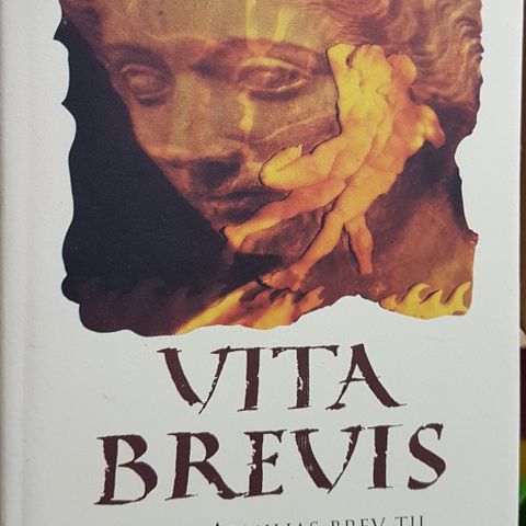 Jostein Gaarder - Vita Brevis, bok