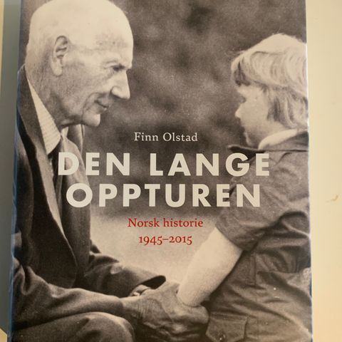 Finn Olstad - Den lange oppturen