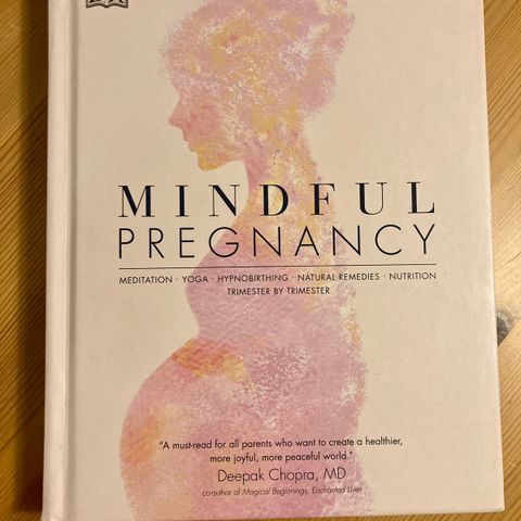 Mindful Pregnancy - bok for gravide