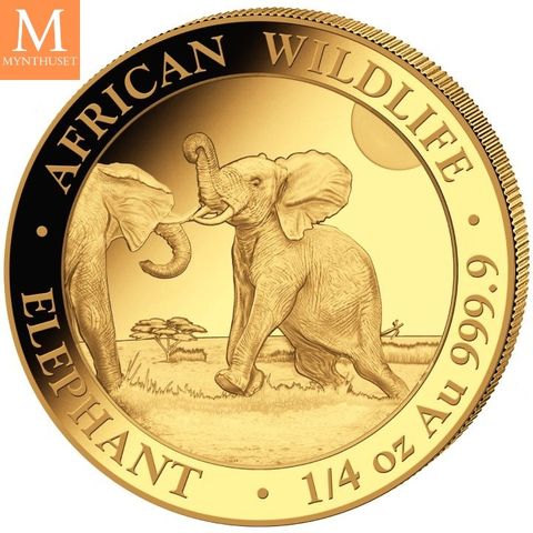 Somalia 2024 1/4 oz Gull African Elephant BU i kapsel