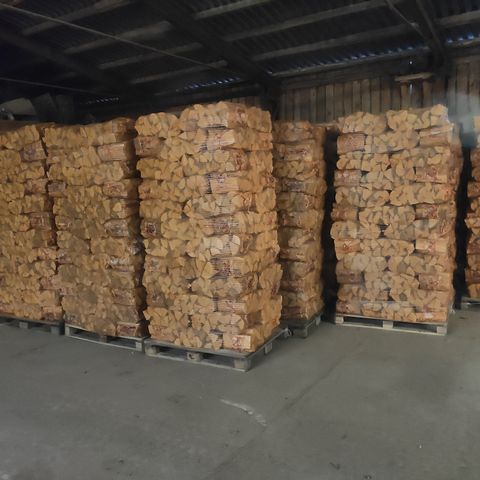 Birch firewood wholesale in 40L bags