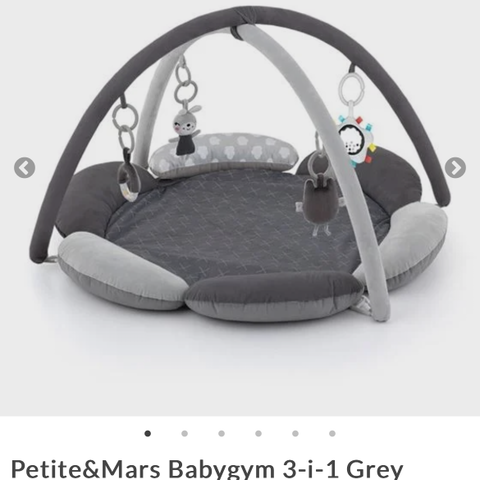 Babygym (Petite&Mars Babygym 3-i-1)