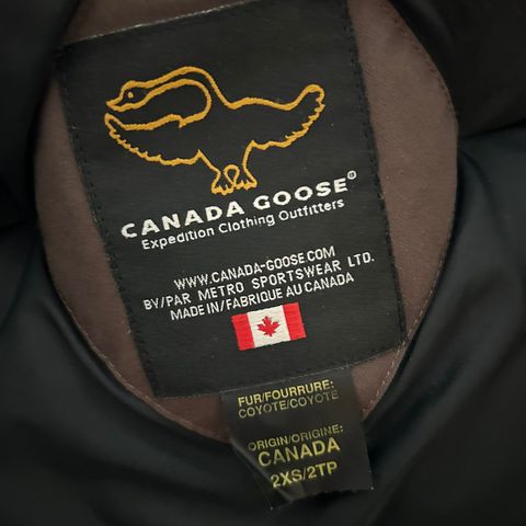 Canada Goose Expedition