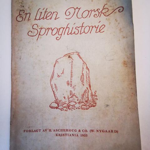 En Liten Norsk Sproghistorie (Didrik Arup Seip)