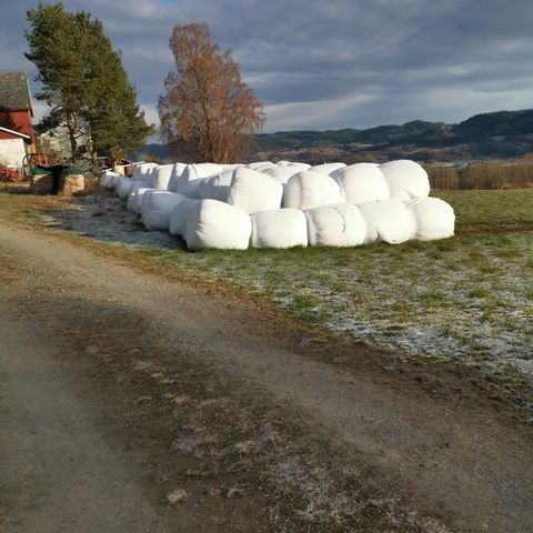 Rundballer 1.slått