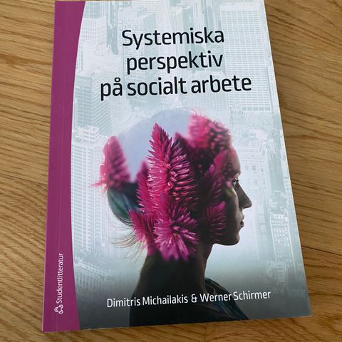 Systemiska perspektiv på sosialt arbete