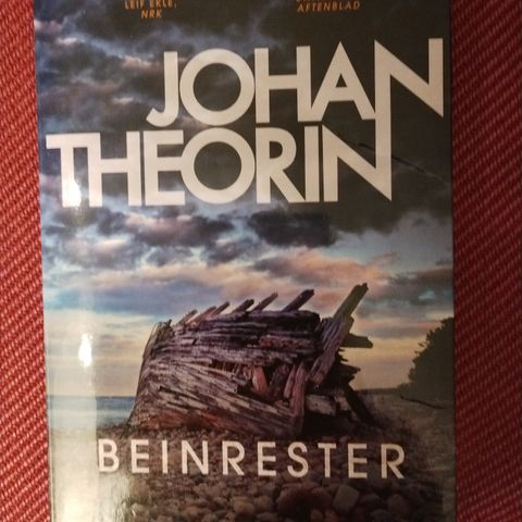 Johan Theorin - Beinrester - pocket