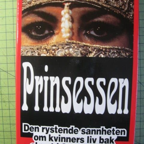 Jean P Sasson - Prinsessen - Bra å lese til å forstå mere