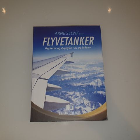 Flyvetanker. Oppturer og dypdykk i liv og ledelse. Arne Selvik