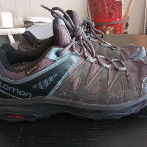 Salamon Gortex tur skoe gutt str 39 1/3