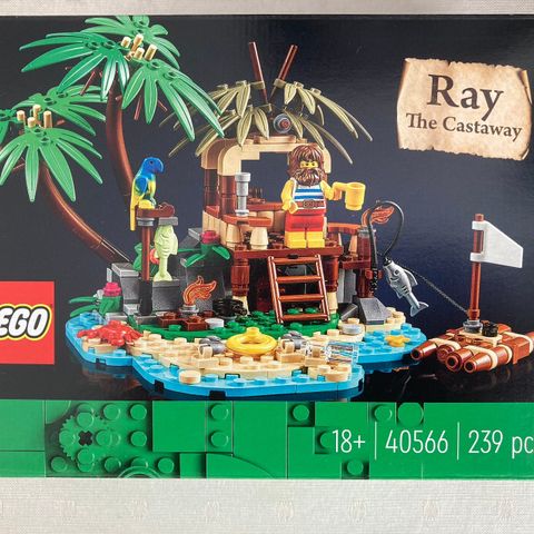 Lego 40566, Ray the Castaway