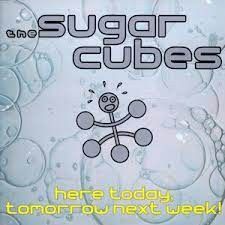 The Sugarcubes  – Here Today, Tomorrow Next Week!