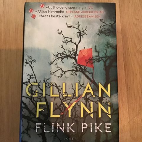Bok: Gillian Flynn, Flink pike