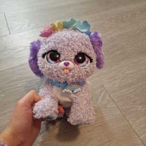 Present pets rainbow fairy surprise