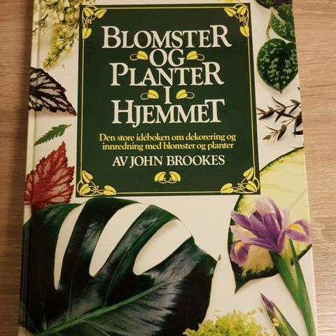 Blomster og planter i hjemmet