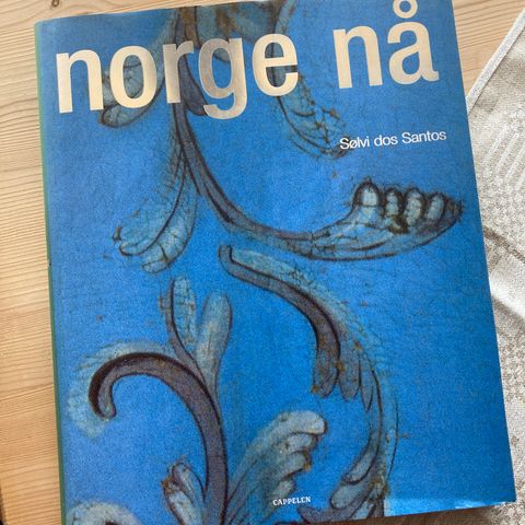 Sølvi dos Santos: "Norge nå" interiør- og livsstilbok fra norske hjem