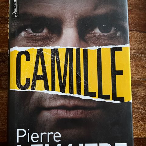 Pierre Lemaitre. Camille