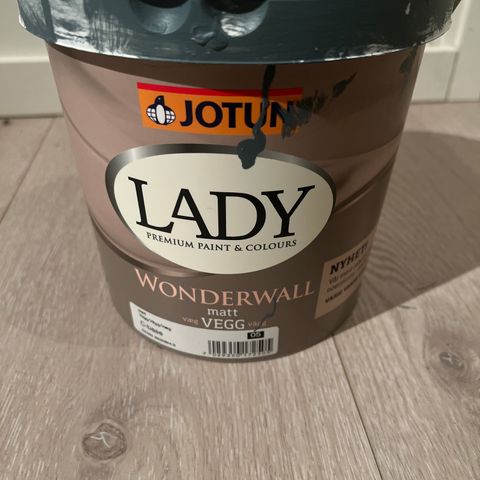Lady wonderwall