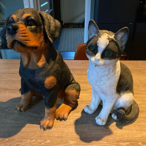 Pynte hund og katt i hel og pen stand