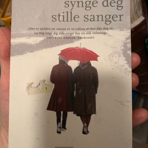 La meg synge deg stille sanger