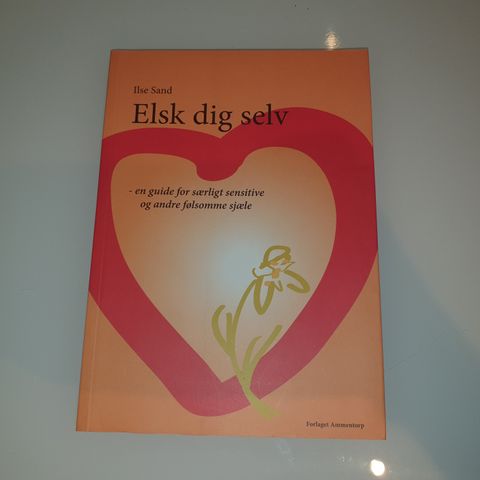 Elsk dig selv. Ilse Sand