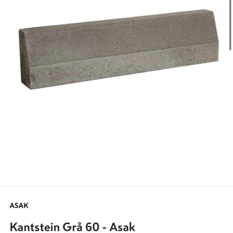 ASAK KANTSTEIN