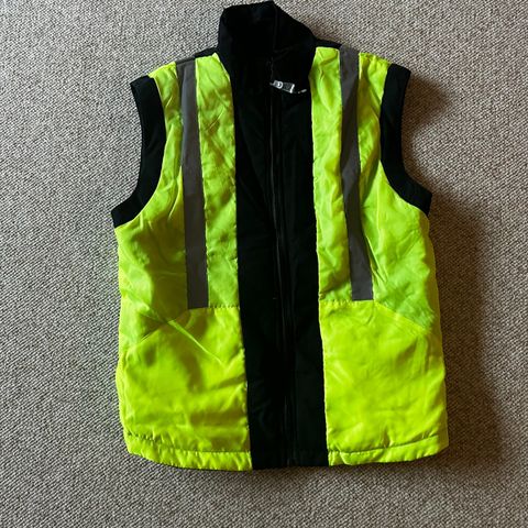 ridevest