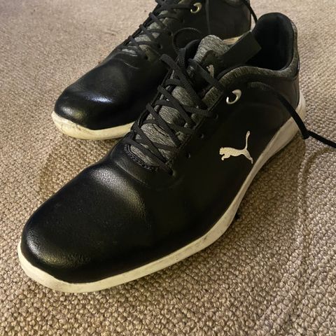 Puma golfsko str 40