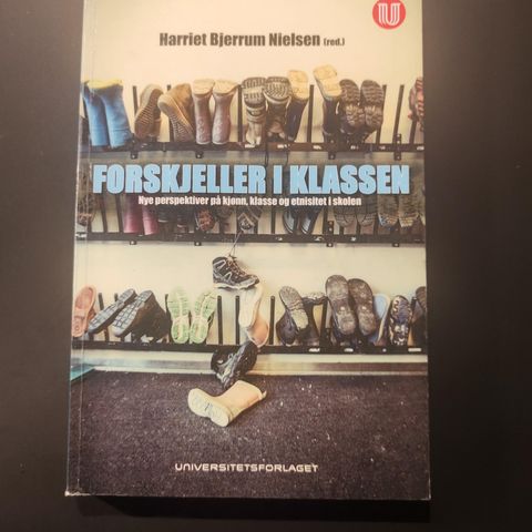 Forskjeller i klassen (Nielsen, 2014)