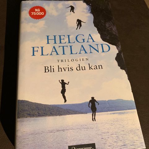 Bli hvis du kan av Helga Flatland