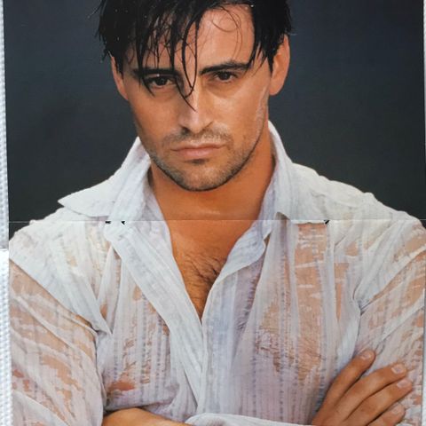 Plakat Matt Leblanc - Cranberries                             Bud ønskes